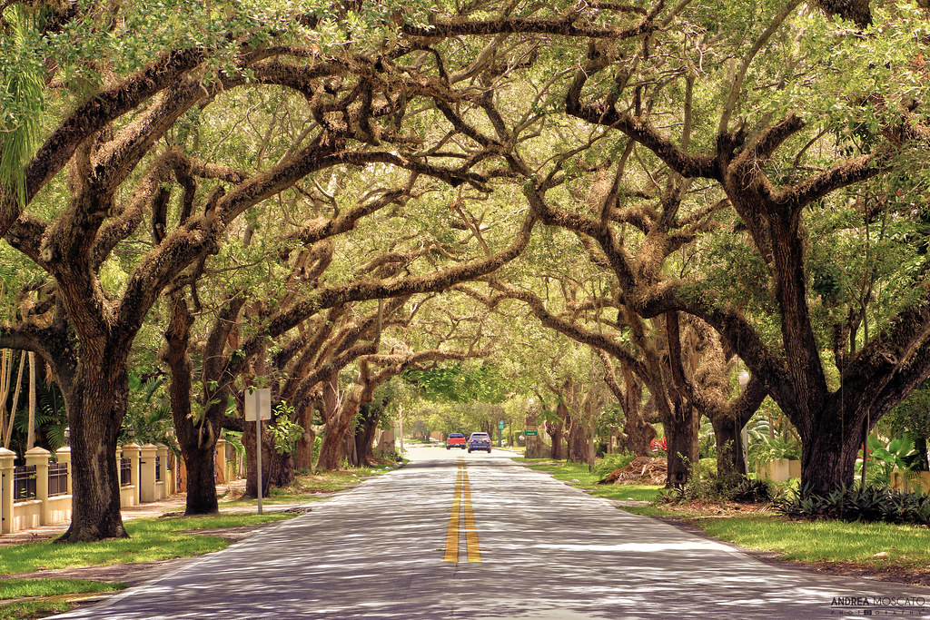 coral way in coral fables florida